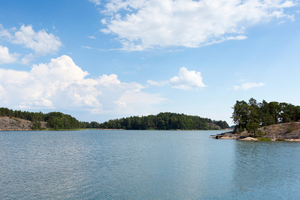 SEO & Website Design in Buford, Georgia